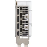 ASUS GeForce RTX 5060 DUAL OC WHITE 8 Go, Carte graphique Blanc, DLSS 4, 3x DisplayPort, 1x HDMI 2.1