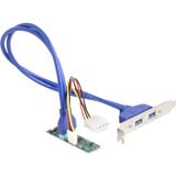 DeLOCK Convertisseur M.2 Key B+M connecteur > 2 x USB 5 Gbps Type-A, Extension de l’interface 