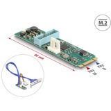 DeLOCK Convertisseur M.2 Key B+M connecteur > 2 x USB 5 Gbps Type-A, Extension de l’interface 
