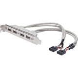 Digitus Câble en tôle pour fente USB, Connecteur d'extension 