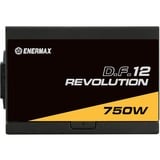 Enermax Revolution D.F.12 alimentation modulaire 750 watt Noir