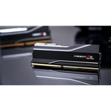 G.Skill Trident Z5 Neo RGB 256 Go DDR5-6000 (4x 64 Go) mémoire vive Noir, F5-6000J3644D64GX4-TZ5NR, EXPO