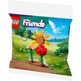 LEGO 30659, Jouets de construction 