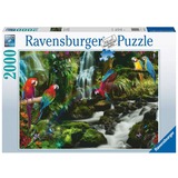 Ravensburger 17111 puzzle Jeu de puzzle 2000 pièce(s) Animaux 2000 pièce(s), Animaux