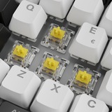 Sharkoon SKILLER SGK50 S3 RGB clavier gaming mécanique Blanc, Layout IT, Gateron Yellow, 75%