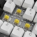 Sharkoon SKILLER SGK50 S3, clavier gaming Blanc, Layout IT, Gateron Yellow