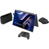 ASUS ZenScreen Duo OLED MQ149CD écran plat de PC 35,6 cm (14") 1920 x 1200 pixels WUXGA Argent 21" Moniteur  Argent, 35,6 cm (14"), 1920 x 1200 pixels, WUXGA, OLED, 1 ms, Argent