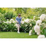 Bosch Taille-bordures sans fil EasyGrassCut 18-26, 18 volts, bobine de fil supplémentaire, Coupe-bordures Vert/Noir