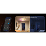 Govee 38cm Plafonnier intelligent RGBICWW Pro, Lumière LED 