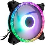 Inter-Tech Argus RS-071 RGB 120x120x25 ventilateur de boîtier Noir, 120 x 120 x 25 mm, PWM
