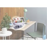 Peach PS300-21 destructeur de papier Destruction croisée 21,6 cm Transparent, Blanc, Broyeur de document Destruction croisée, 21,6 cm, 3.5 x 40 mm, 4 L, 15 feuilles, 1 feuilles