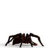 Schleich Harry Potter - Aragog, Figurine 