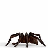 Schleich Harry Potter - Aragog, Figurine 