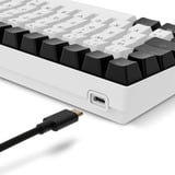 Sharkoon SKILLER SGK50 S2 RGB clavier gaming mécanique Blanc, Layout DE (QWERTZ), Gateron Red, 96%