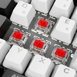 Sharkoon SKILLER SGK50 S2 RGB clavier gaming mécanique Blanc, Layout DE (QWERTZ), Gateron Red, 96%