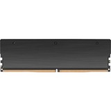 Thermaltake RA50D516GX2-5600C36A, Mémoire vive Noir