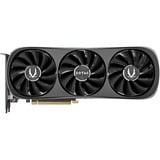 ZOTAC ZT-D40700D-10P, Carte graphique 