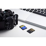 ADATA Premier Extreme SDXC SD8.0 1 TB, Carte mémoire Noir