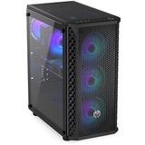 ENDORFY Signum 300 ARGB boîtier midi tower Noir | 2x USB-A | RGB | Window
