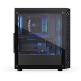 ENDORFY Signum 300 ARGB boîtier midi tower Noir | 2x USB-A | RGB | Window