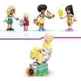 LEGO Friends Cooler Aire de Jeux Intérieure, Jouets de construction 