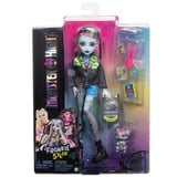 Mattel Monster High-Poupée Frankie Stein-Poupée avec animal et accessoires Poupée mannequin, Femelle, 4 an(s), Garçon/Fille, 150 mm, 250 g