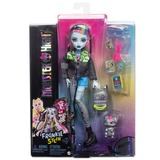 Mattel – POUPÉE FRANKIE STEIN Poupée mannequin, Femelle, 4 an(s), Garçon/Fille, 150 mm, 250 g