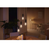 Philips Hue Hue White Ambiance Ampoule filament E27 Edison ST64 550, Lampe à LED 