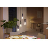 Philips Hue Hue White Ambiance Ampoule filament E27 Edison ST64 550, Lampe à LED 