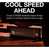 Seagate FireCuda 530 1 To avec dissipateur thermique SSD Noir, ZP1000GM3A023, PCIe 4.0 x4, NVMe 1.4, M.2 2280