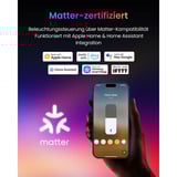 SwitchBot Lampadaire smarte Stehlampe, Lampe à LED Noir