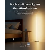 SwitchBot Lampadaire smarte Stehlampe, Lampe à LED Noir