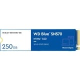 WD Blue SN570 250 Go SSD Bleu/Blanc, WDS250G3B0C, M.2 2280 PCIe Gen3 x4 NVMe v1.4