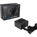 FSP Vita unité d'alimentation d'énergie 20+4 pin ATX ATX Noir alimentation  550 watt Noir, 4x PCIe, 550 W, 110 - 240 V, 50/60 Hz, 8-4 A, Actif, 100 W