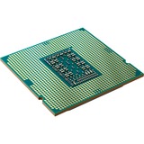 Intel® Core i5-11400T processeur 1,3 GHz 12 Mo Smart Cache socket 1200 processeur Intel® Core™ i5, LGA 1200 (Socket H5), 14 nm, Intel, i5-11400T, 1,3 GHz, Tray