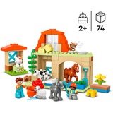 LEGO DUPLO - Prendre soin des animaux de la ferme, Jouets de construction 10416