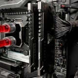 Patriot 32 Go DDR4-3600 (2x 16 Go) mémoire vive Gris, PVS432G360C8K, XMP 2.0
