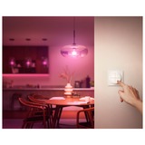 Philips Hue Tap Dial, Palpeur Blanc