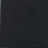 Thermal Grizzly Minus Pad Advance - 100x100x2,0 mm, Pad Thermique 