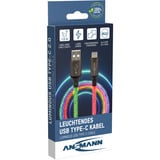 Ansmann Câble USB-A vers USB Type-C Noir/transparent