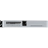Palit NE75060U19P1-GB2063M, Carte graphique 