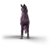 Schleich Bayala Galaxy Licorne Arc-en-ciel Jument, Figurine 