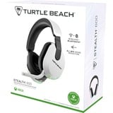 Turtle Beach Stealth 600 Console Blanc Casque Gaming sans Fil w/ 80hr Batterie, Écouteurs de 50mm et Bluetooth pour Xbox Series X ou S, PC et Mobile  over-ear Blanc, Écouteurs de 50mm et Bluetooth pour Xbox Series X ou S, PC et Mobile, Sans fil, 20 - 20000 Hz, Gaming, 320 g, Casque, Blanc