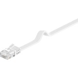 goobay Câble réseau RJ-45 U/UTP Cat.6 Blanc, 1 mètre, câble plat