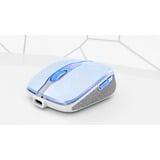 CHERRY DW 9100 SLIM clavier Souris incluse Universel RF sans fil + Bluetooth AZERTY Français Argent set de bureau Blanc, Layout FR (AZERTY), Technologie SX, 100%, Sans fil, RF sans fil + Bluetooth, AZERTY, Argent, Souris incluse