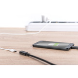 Digitus Câble de rallonge USB 2.0, connecteur USB-C > prise USB-C, Câble d'extension Noir