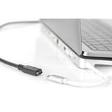 Digitus Câble de rallonge USB 2.0, connecteur USB-C > prise USB-C, Câble d'extension Noir