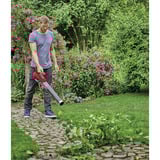 EINHELL Souffleur de feuilles sans fil professionnel GP-LB 18/200 LI, 18 Volts Rouge/Noir