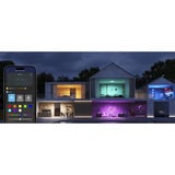 Govee 30cm RGBWW + RGBIC Lampe de Plafond Intelligente Ronde, Lumière LED 