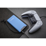 Intenso Powerbank F10000 Bleu Bleu